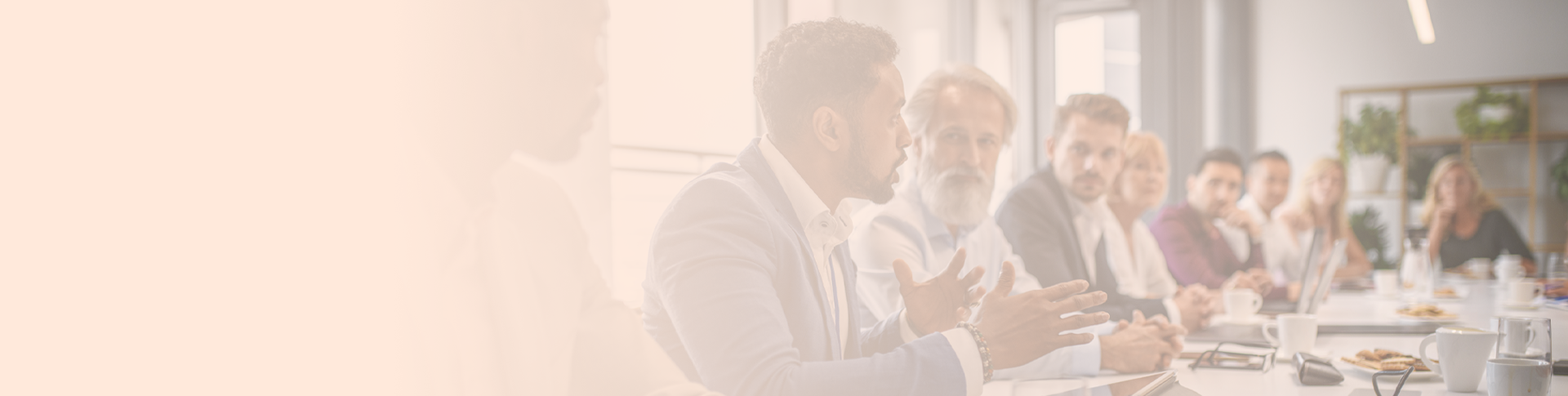 People - Executive Leadership team - page banner v2.png