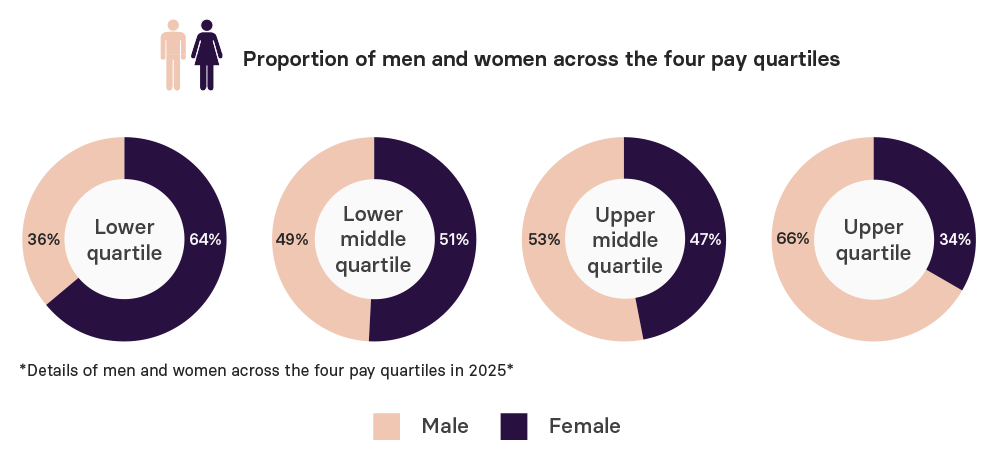 Gender pay report_2025_pie-charts - 1000pxl.png